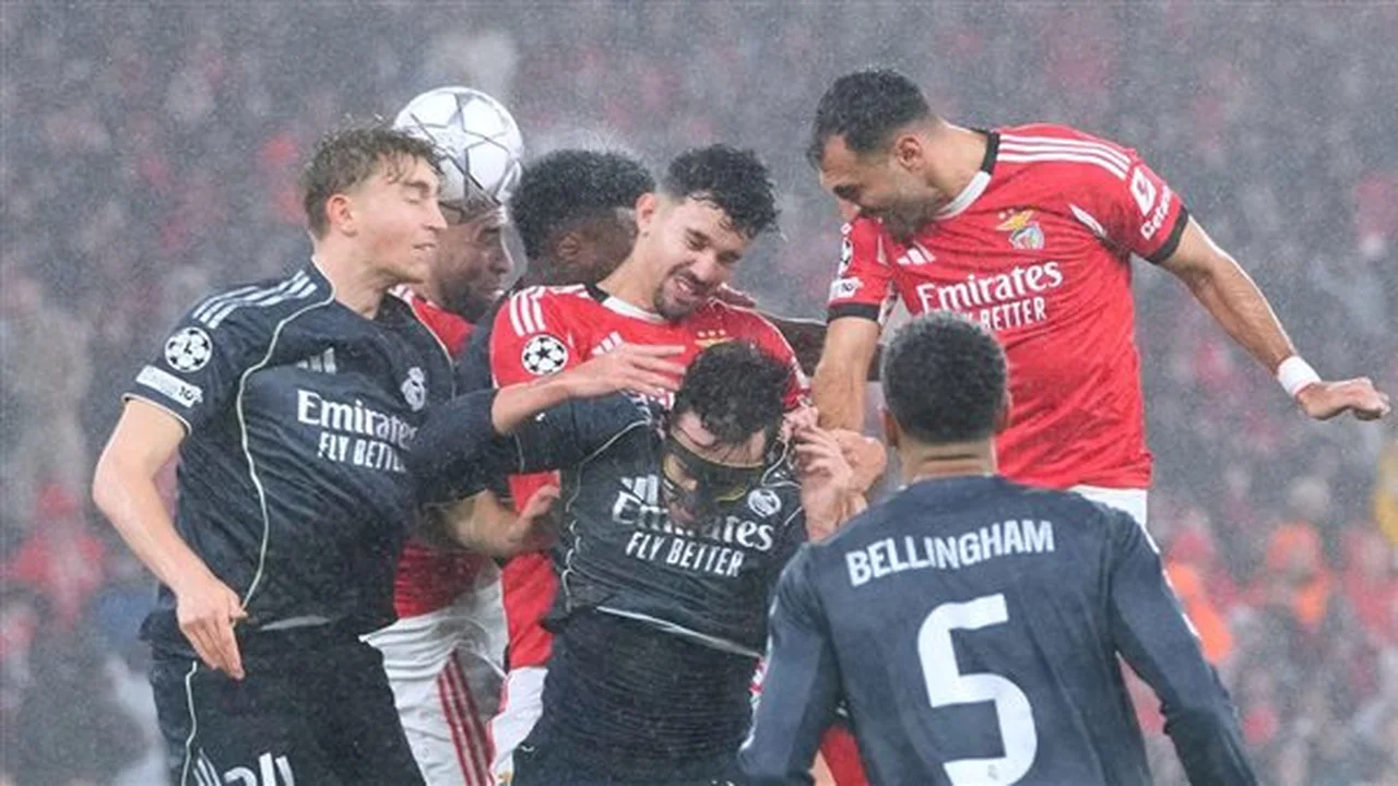 صدام مرتقب.. موعد مباراة ريال مدريد وبنفيكا في دوري أبطال أوروبا والقنوات الناقلة